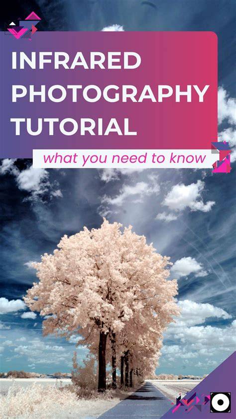 photography tips tutorial examples tutorial examples tutorial trending tutorial tutorial tips guide
