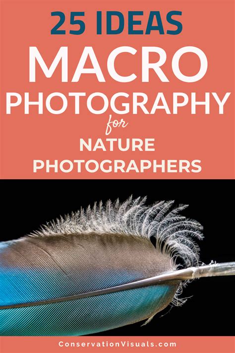 photography tips tutorial examples tutorial ideas examples tips