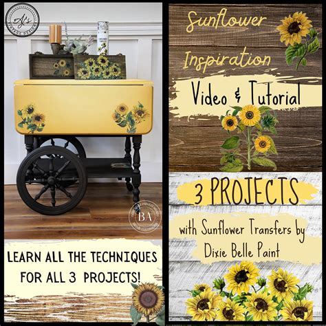 photography tips tutorial tutorial design tutorial aesthetic tutorial inspiration tutorial DIY