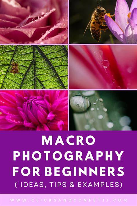 photography tips tutorial tutorial examples examples tutorial tutorial guide ideas tips examples