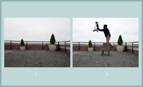 photography tips tutorial tutorial tutorial style design guide design photos