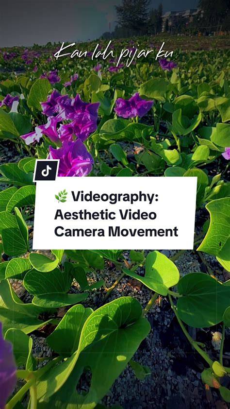 photography tips tutorial tutorial tutorial tutorial style aesthetic guide aesthetic