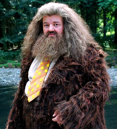 photos of hagrid from harry potter