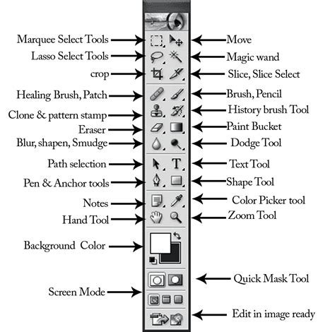 Photoshop Basic Tools