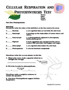 photosynthesis and cellular respiration worksheet 7th grade