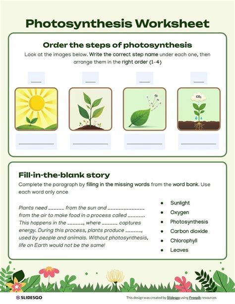 Photosynthesis Lab Worksheet