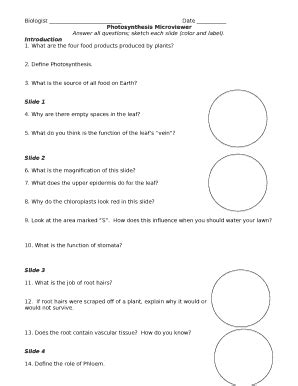 Photosynthesis Microviewer Lab Answer Key