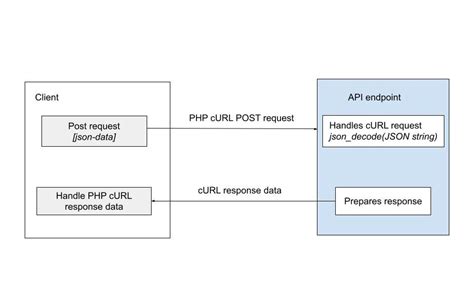 php curl post json basic authentication