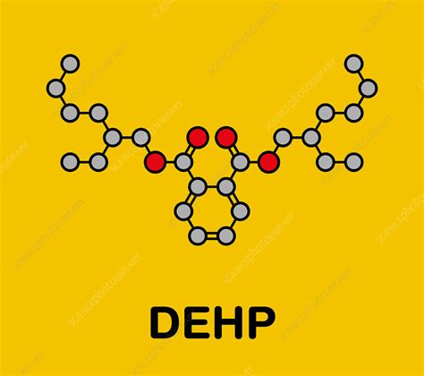 phthalates dehp