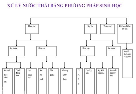 phuong phap sinh la gi