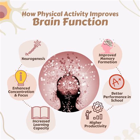 physical activity improves brain function
