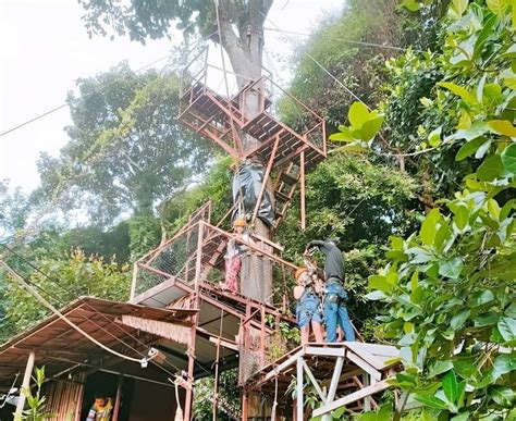 physical activity tour