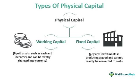 physical capital definition economics quizlet