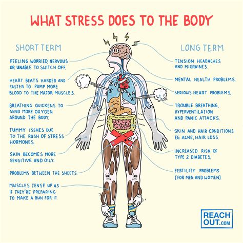 Image: Physical Effects of Stress