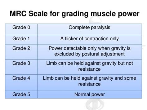 physical exam motor strength scale