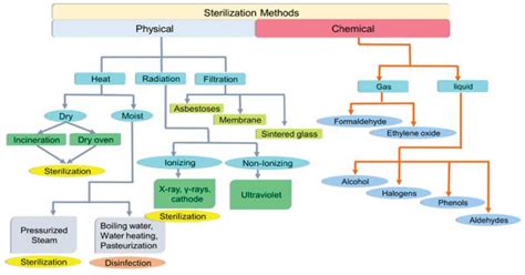 physical mapping methods do not rely on