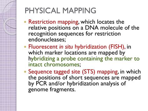 physical mapping techniques