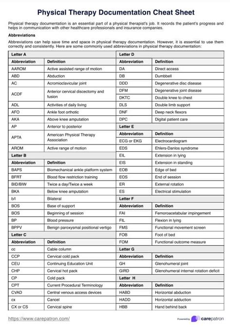 Physical Therapy Documentation Cheat Sheet