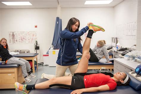 Physical Therapy Undergraduate Programs