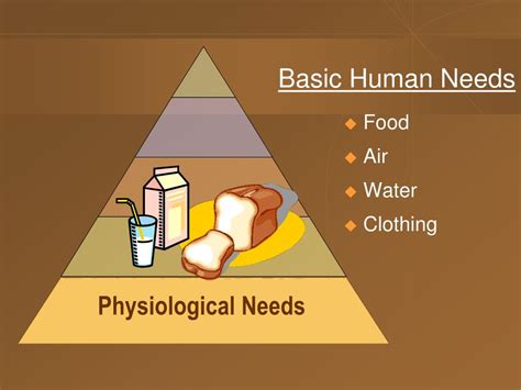 physiological needs examples in business