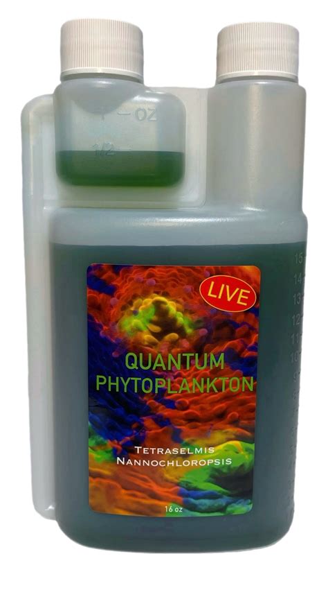 phytoplankton for corals