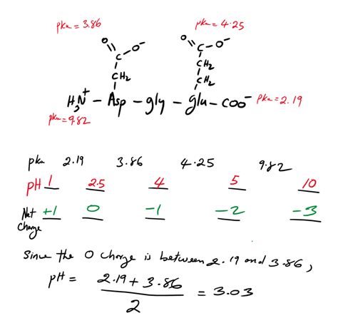 Pi Calculation Biochemistry