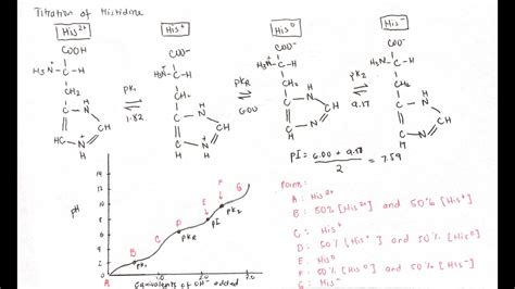 Pi Value Of Histidine