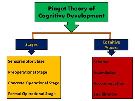 piaget's theory of development focused primarily on