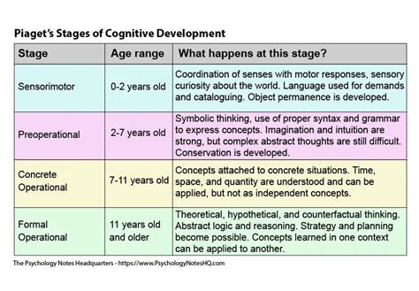 Piagets Experiments On Cognitive Development Printables