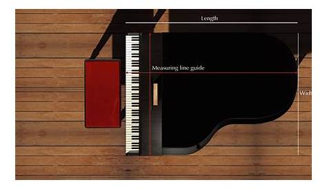 grand piano dimensions Google Search Grand piano