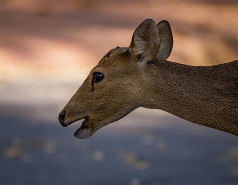 Pic For Facebook Profile