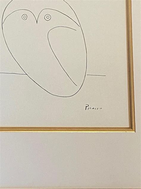 picasso night owl