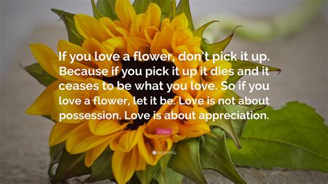 Pick Flowers Quote
