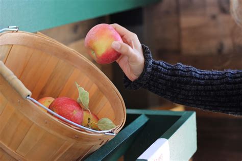 Picker Definition In Computer