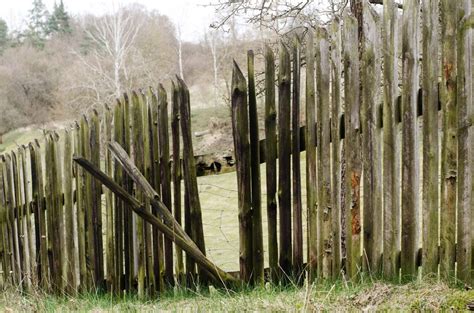 Picket Stake Definition