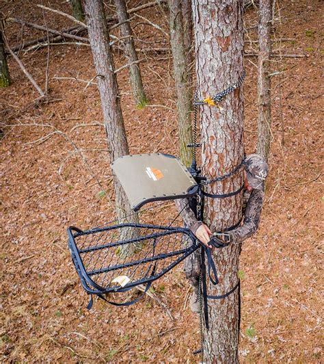 Picking Tree Stand Location