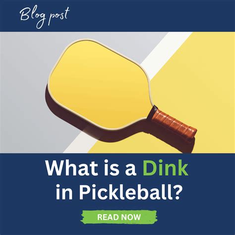 Pickleball Terms Dink