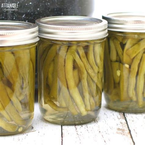 Pickled Green Beans Costco
