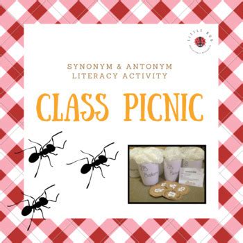 Picnic Activity Synonym