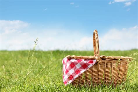 Picnic Background