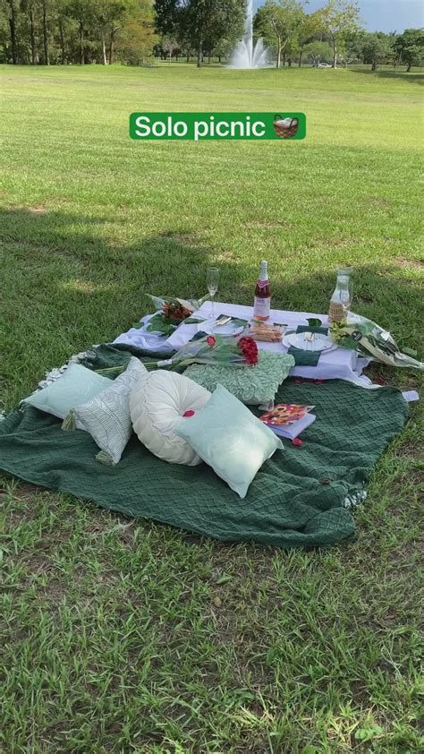 picnic solo