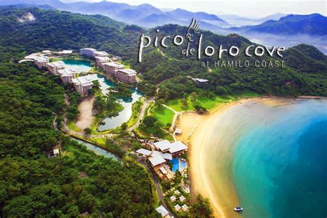 pico de loro website