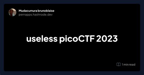 picoctf 2023 useless