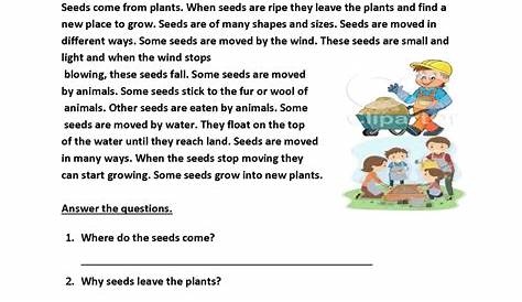 2nd Grade Reading Comprehension Worksheets Pdf For Printable To Db Ages