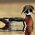 picture of wood duck