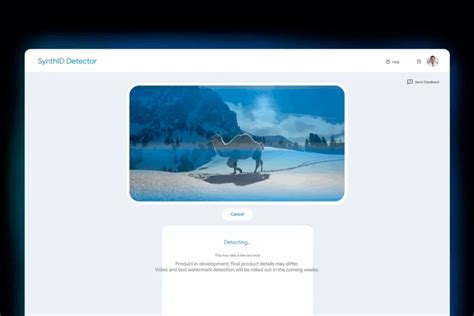 Picture Detector Google