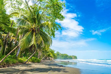 picture of beach in costa rica