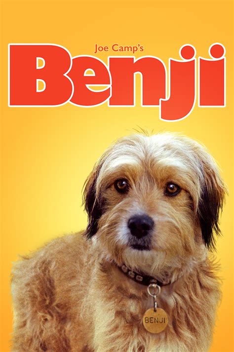 picture of benji the dog