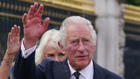 picture of king charles hands