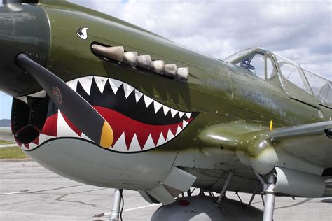 picture of p 40 flying tiger